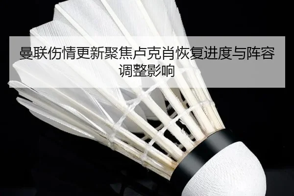 曼联伤情更新聚焦卢克肖恢复进度与阵容调整影响